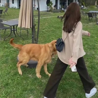 飞来艳福